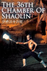 The 36th Chamber of Shaolin (1978) Blu-Ray Dual Audio {Hindi-English} 480p - 720p - 1080p poster