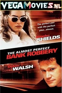 The Almost Perfect Bank Robbery (1997) Dual Audio [Hindi-English] WeB-DL 480p - 720p poster