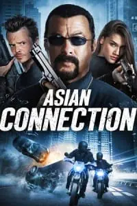 The Asian Connection (2016) Dual Audio [Hindi ORG. + English] Bluray 480p - 720p - 1080p poster