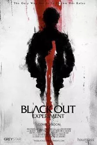 The Blackout Experiment (2021) Dual Audio {Hindi-English} 480p - 720p - 1080p poster