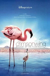 The Crimson Wing Mystery of the Flamingos (2008) Dual Audio {Hindi-English} 480p - 720p poster