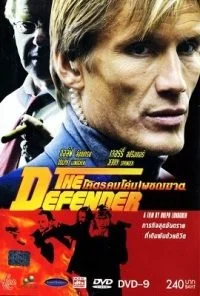 The Defender (2004) Dual Audio {Hindi-English} 480p - 720p poster