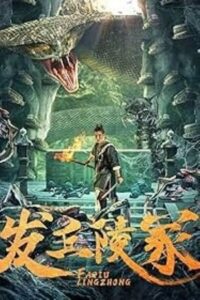 The Dragon’s Tomb (2024) WEB-DL Dual Audio {Hindi-Chinese} 480p - 720p - 1080p poster