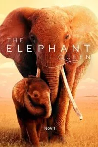 The Elephant Queen (2019) WEB-DL Dual Audio {Hindi-English} 480p - 720p - 1080p poster