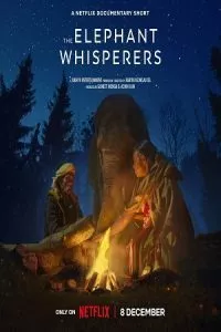 The Elephant Whisperers (2022) WEB-DL Dual Audio {Hindi-English} 480p - 720p - 1080p poster