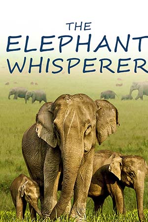 The Elephant Whisperers (2022) poster