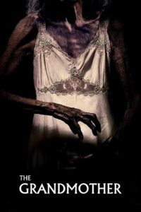 The Grandmother (2019) poster