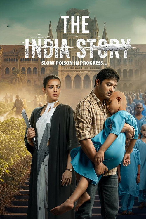 The India Story (2026) poster