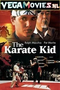 The Karate Kid (1984) Dual Audio {Hindi-English} 480p - 720p - 1080p poster
