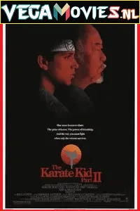 The Karate Kid Part 2 (1986) Dual Audio {Hindi-English} 480p - 720p - 1080p poster