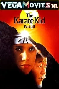 The Karate Kid Part 3 (1989) Dual Audio {Hindi-English} 480p - 720p - 1080p poster
