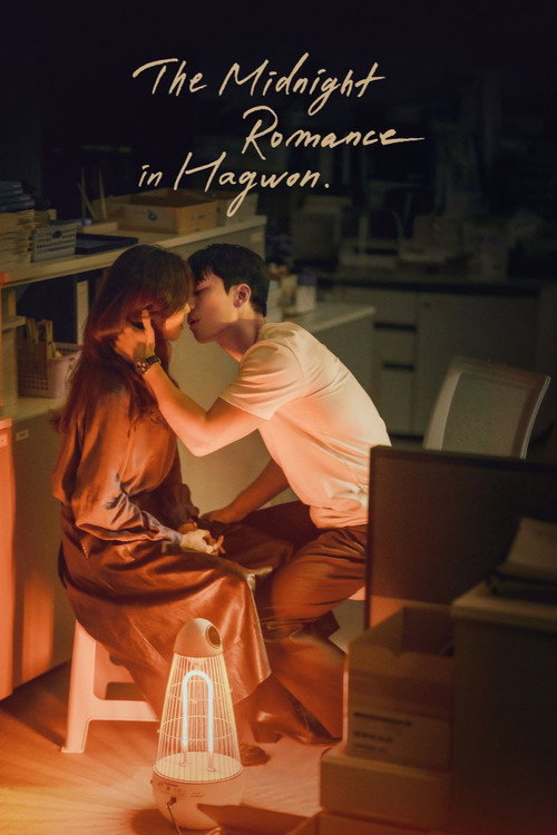 The Midnight Romance (Season 1) Dual Audio {Hindi-Korean} K-Drama Series 480p 720p & 1080p WEB-DL poster
