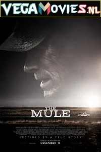The Mule (2018) English With Subtitles 480p - 720p poster