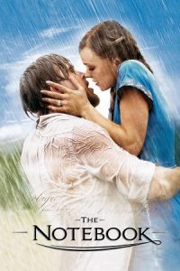 The Notebook (2004) Dual Audio {Hindi-English} BluRay 480p - 720p - 1080p poster