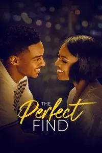The Perfect Find (2023) poster