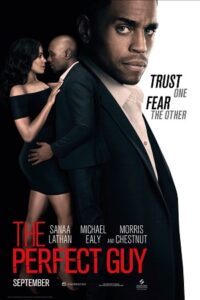 The Perfect Guy (2015) BluRay Dual Audio {Hindi-English} 480p - 720p - 1080p poster