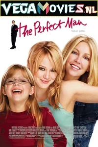 The Perfect Man (2005) Dual Audio {Hindi-English} 480p - 720p poster