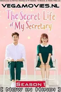 The Secret Life of My Secretary (Season 1) Hindi Dubbed Complete K-Drama Series 480p - 720p WEB-DL poster