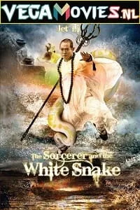 The Sorcerer and the White Snake (2011) Dual Audio {Hindi-English} 480p - 720p - 1080p poster