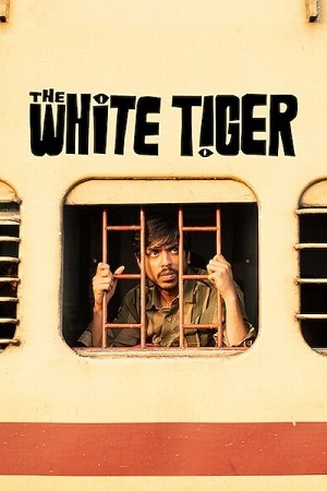 The White Tiger (2021) poster
