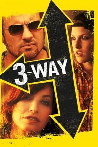 Three Way (2004) Dual Audio {Hindi-English} BluRay 480p - 720p - 1080p poster