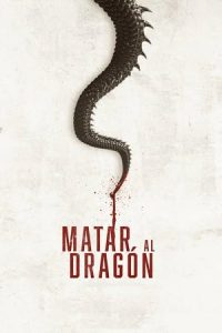 To Kill the Dragon (2019) Dual Audio {Hindi-French} 480p - 720p poster