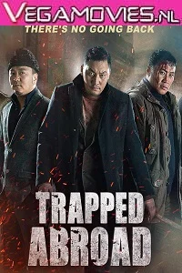 Trapped Abroad (2014) Dual Audio {Hindi-English} 480p - 720p poster