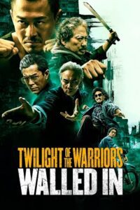 Twilight of the Warriors: Walled In (2024) BluRay Hindi Dubbed (DD5.1) 480p - 720p - 1080p poster