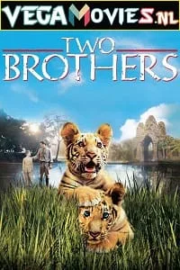 Two Brothers (2004) Dual Audio [Hindi-English] WeB-DL 480p - 720p poster
