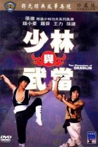 Two Champions of Death (1980) Dual Audio {Hindi-English} 480p - 720p poster