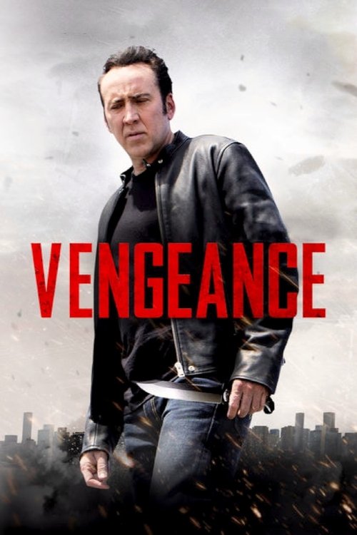 Vengeance: A Love Story (2017) Blu-Ray Dual Audio {Hindi-English} 480p - 720p - 1080p poster