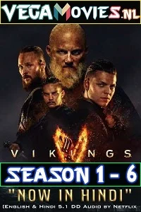Vikings (Season 1 – 6) Dual Audio [Hindi-English] BluRay Complete Series 480p - 720p poster