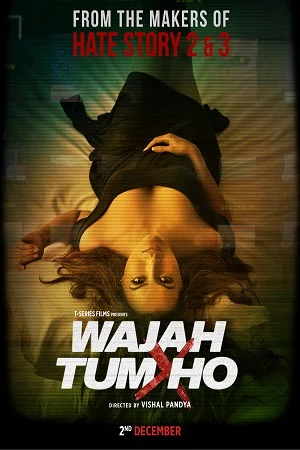 Wajah Tum Ho (2016) Hindi Full Movie 480p - 720p - 1080p poster