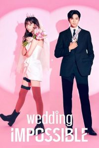 Wedding Impossible (Season 1) Dual Audio {Hindi-Korean} Series 480p 720p & 1080p WEB-DL poster