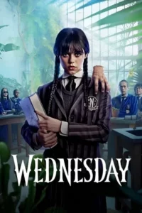 Wednesday (2022) poster