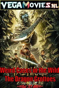 Weird Cases in the Wild: The Dragon Grottoes (2020) Dual Audio [Hindi + Vietnamese] WeB-DL 480p - 720p - 1080p poster
