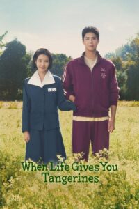 When Life Gives You Tangerines (2025) Season 1 Multi Audio {Hindi-English-Korean} NetFlix Series 480p - 720p - 1080p WEB-DL poster