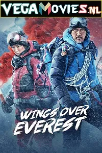 Wings Over Everest (2019) Dual Audio {Hindi-English} 480p - 720p - 1080p poster