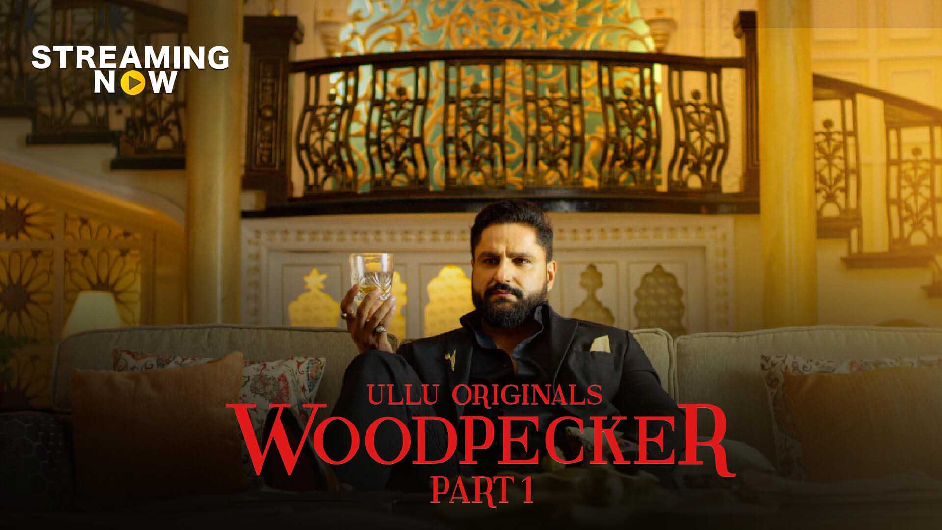[18+] Woodpecker – S01 Part: 1 (2020) poster