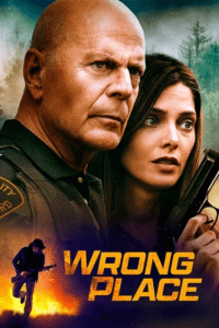 Wrong Place (2022) BluRay Dual Audio {Hindi-English} 480p - 720p - 1080p poster