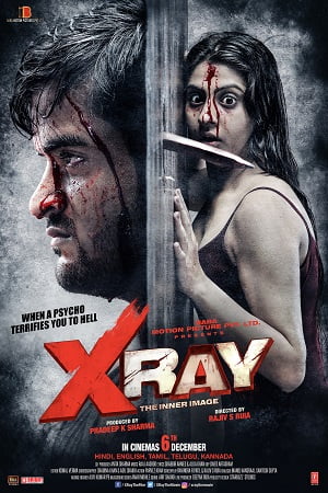 X Ray: The Inner Image (2019) Hindi Full Movie 480p - 720p HDRip poster