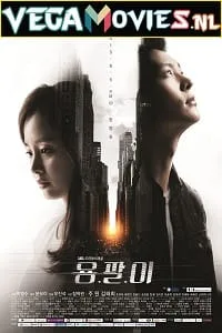 Yong Pal (2015) Season 1 Hindi Dubbed Complete [Korean Series] 720p WEB-DL poster