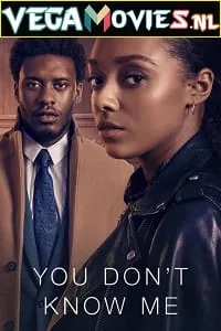 You Don’t Know Me (Season 1) Dual Audio [Hindi-English] Complete Netflix Web Series 480p - 720p - 1080p WEB-DL poster