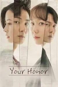 Your Honor (Season 1 – Complete) Hindi Dubbed (ORG) [K-Drama Series] All Episodes 480p - 720p - 1080p WEB-DL poster
