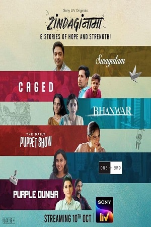 Zindaginama – Season 1 (2024) Complete Hindi WEB Series 480p - 720p - 1080p WEB-DL poster