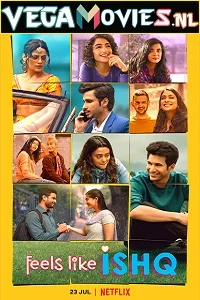 Feels Like Ishq (2021) Season 1 Hindi Complete Netflix WEB Series 480p - 720p WEB-DL poster