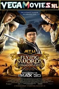 Flying Swords of Dragon Gate (2011) Dual Audio {Hindi-English} 480p - 720p poster