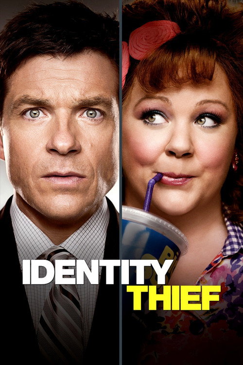 Identity Thief (2013) Dual Audio {Hindi-English} BluRay 480p - 720p - 1080p poster