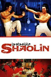 Invincible Shaolin (1978) Dual Audio {Hindi-English} 480p - 720p BluRay poster