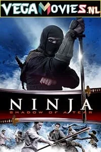 Ninja: Shadow of a Tear (2013) Dual Audio {Hindi-English} 480p - 720p poster